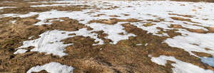 field of grass in early spring with patches of snow