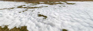 field of melting snow in early spring