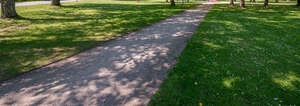 small road in a park under the trees