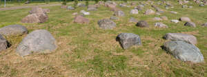 big stones scattered in grass