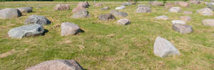 grass with big stones