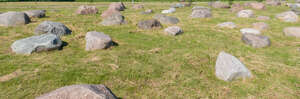 grass with big stones