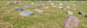 grass field with many big stones