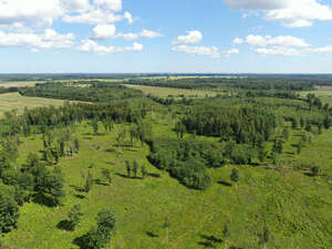 drone photo of a landscape with trees and grasslands