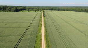 aerial view of a country road between fields