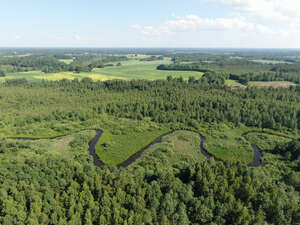 aerial photo of a river between forests