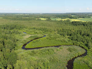 aerial photo of a wild river