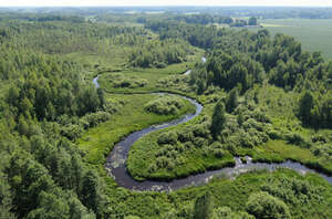 aerial view of a wild river