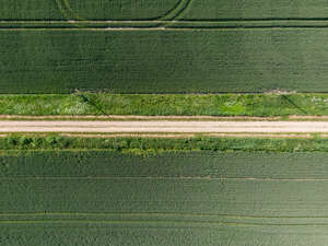 top view of a country road between fields