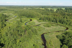 aerial view of a river flowing in countryside