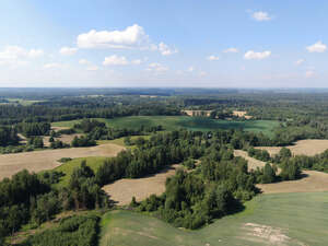 bird-eye view of agricultural fields and trees