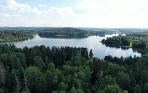 aerial view of a lake between forests