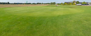 field of grass in golf field