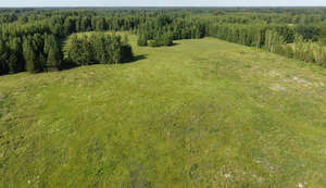 aerial view of a landscape with grasslands and forests