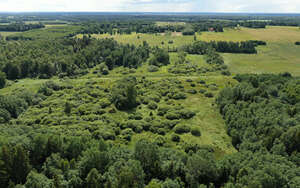 aerial view of a landscape with trees and bushes