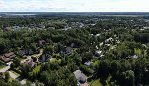 aerial view of a suburb with houses and trees