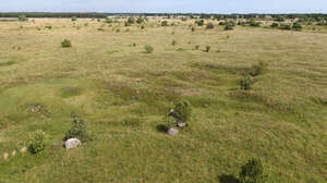 bird eye view of a grassland with stones