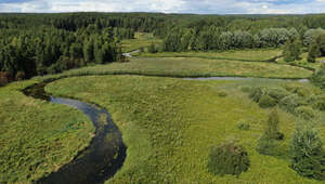 bird eye view of a river flowing