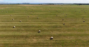 aerial photo of a hay field with hay bales