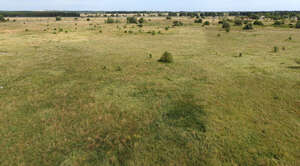 top view of a grassland in summer