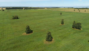 top view photo of agricultural fields