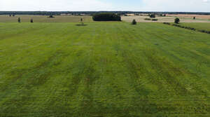 aerial view of green fields