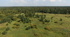 bird eye view of a wild landscape