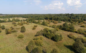 bird eye view of a wild landscape