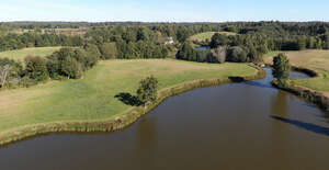 bird eye view of a riverbank