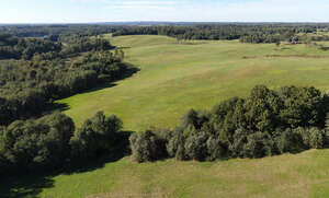 bird eye view of meadows and forest