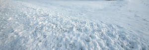ground covered with snow