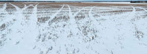 agricultural field in winter with snow