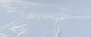 snowy ground with many different tracks