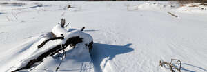 snowy ground with dry wood and grass