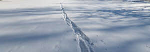 fresh snow with shadows and footprints