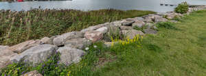 rocky pier on the shore