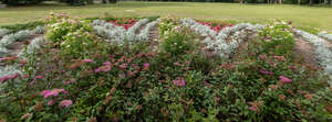 foreground flowerbed