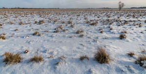 pasture in winter with snow