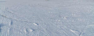 snowy field with different tracks