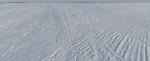 vast snowy field in sunlight