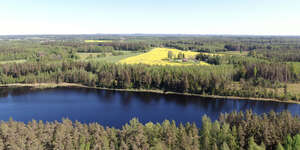 aerial view of a river shore