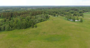 aerial photo of a forest and grassland in spring