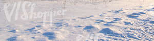 ground covered with snow