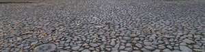 historic paved road with some autumn leaves