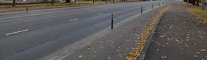 tarmac road with fallen leaves