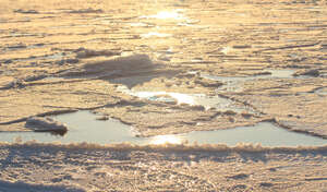 melting ice