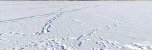 pure white snow with some footprints