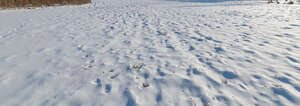 snow covered ground in sunlight
