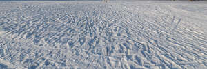 snow in sunlight with different tracks and marks