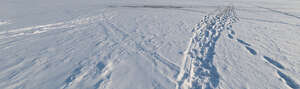small path in a snow covered field